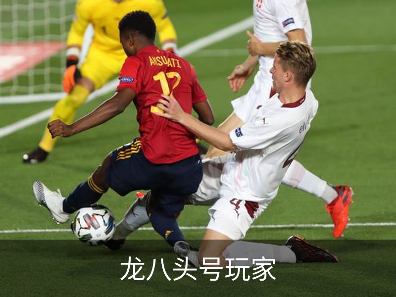 龙八头号玩家概况
